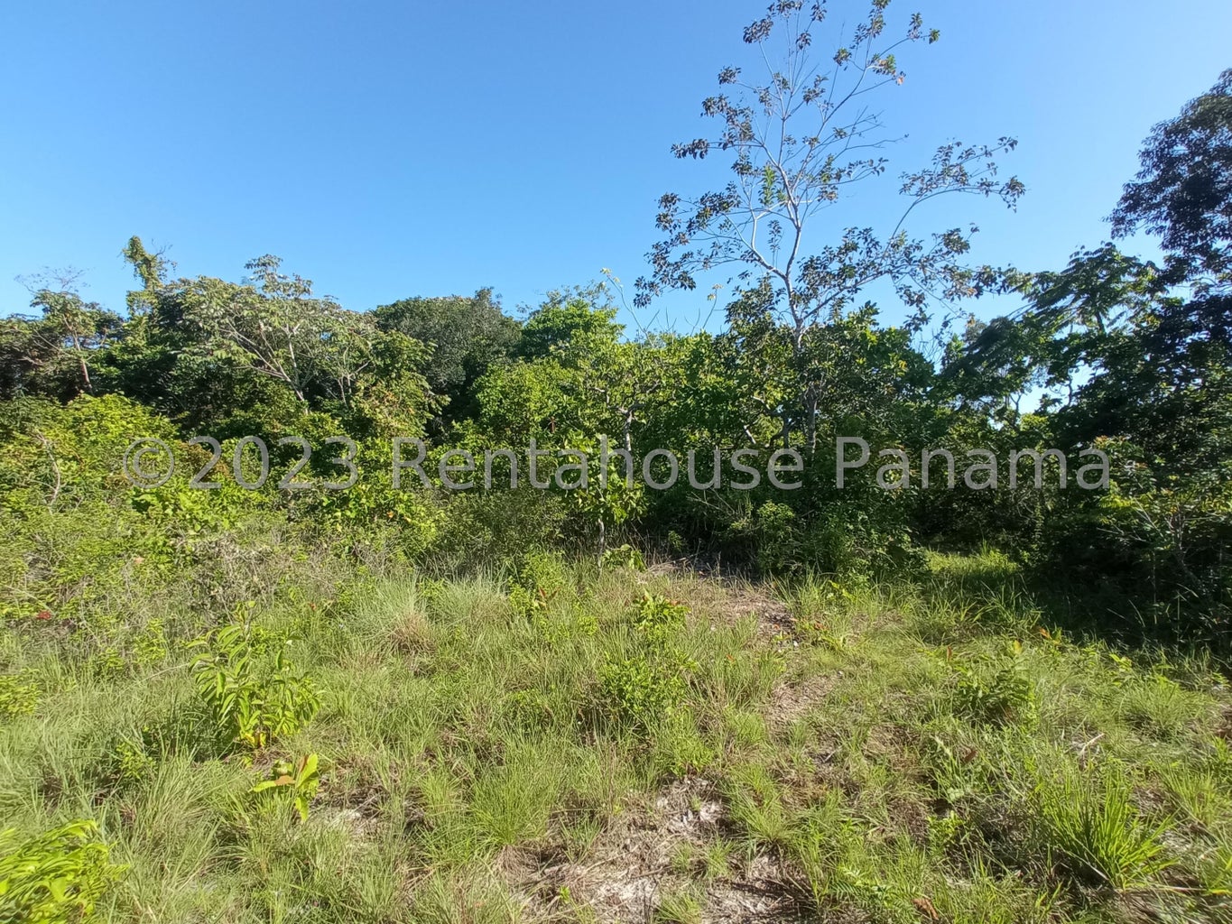 Commercial Property for Sale in Panama City Panamá Province